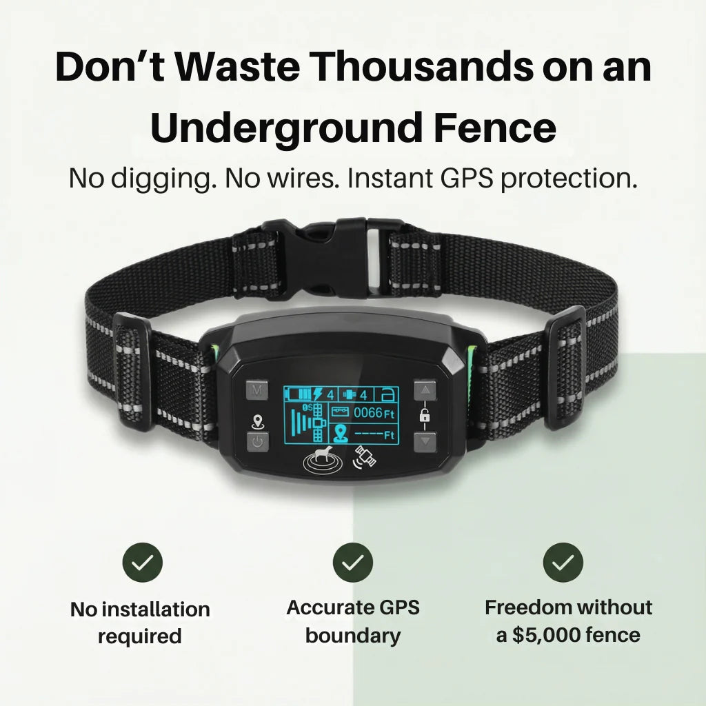 SafePaw - GPS Wireless Dog Fence